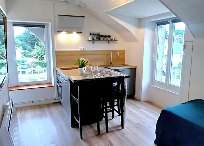 Appartement A Cote Du Port De Ploumanac\'H
